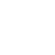 Wanzl Logo