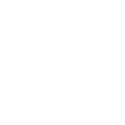 Prinovis Logo