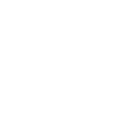 Bosch Logo