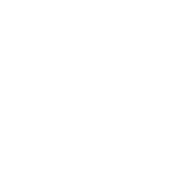 Vanoni Logo