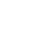 Voith Logo