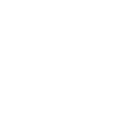 Audi Logo