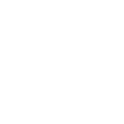 Pfleider Logo