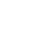 Pfleider