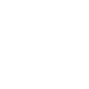 TBE