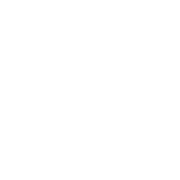 XLNC Sports Logo